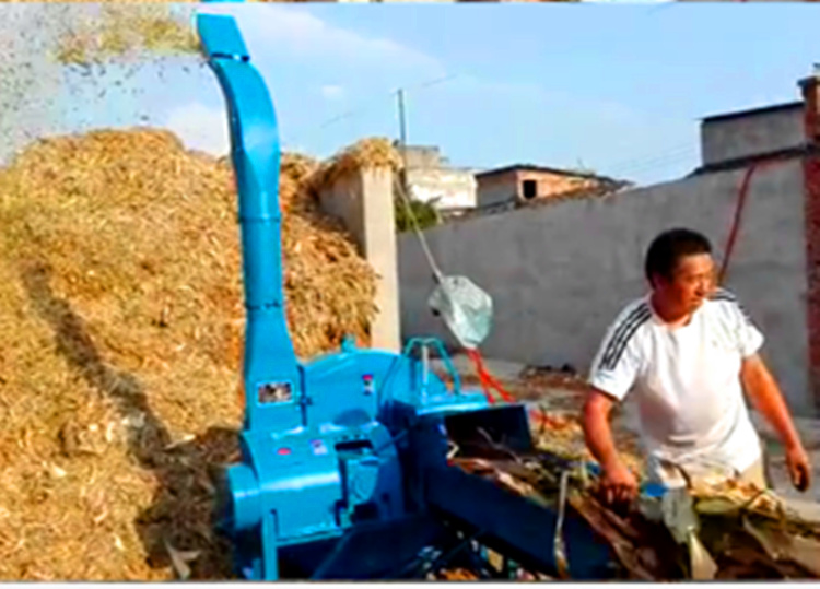 新款6.5吨铡草机工作视频铡草机多少钱一台？
